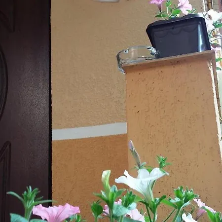 Appartamento New!!! In The Center On Pirogova *