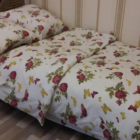 New!!! In The Center On Pirogova Appartamento